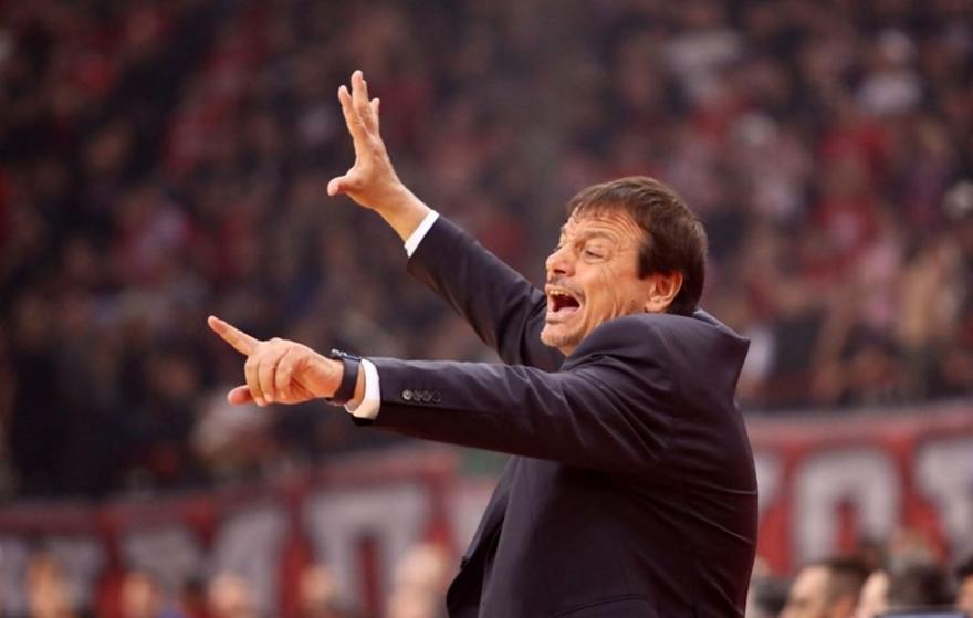 Ataman 221256 (1)