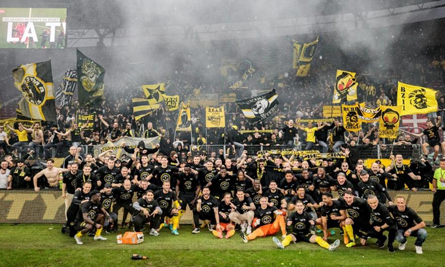 Young Boys 231404