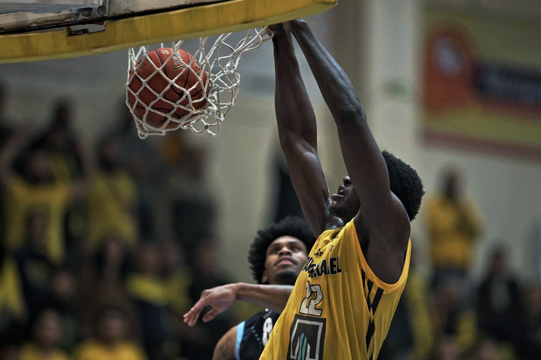 Ael Basket
