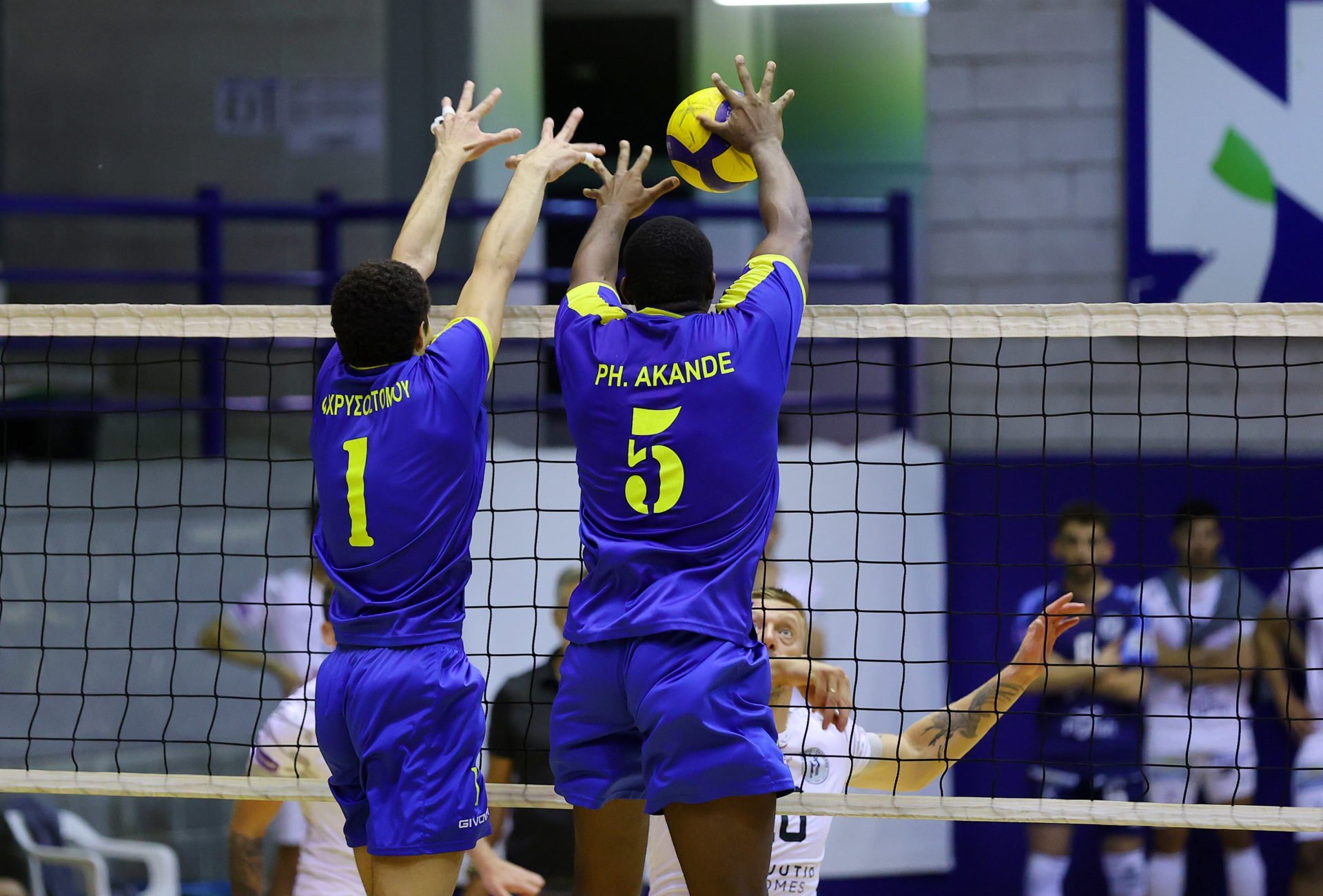 Volley