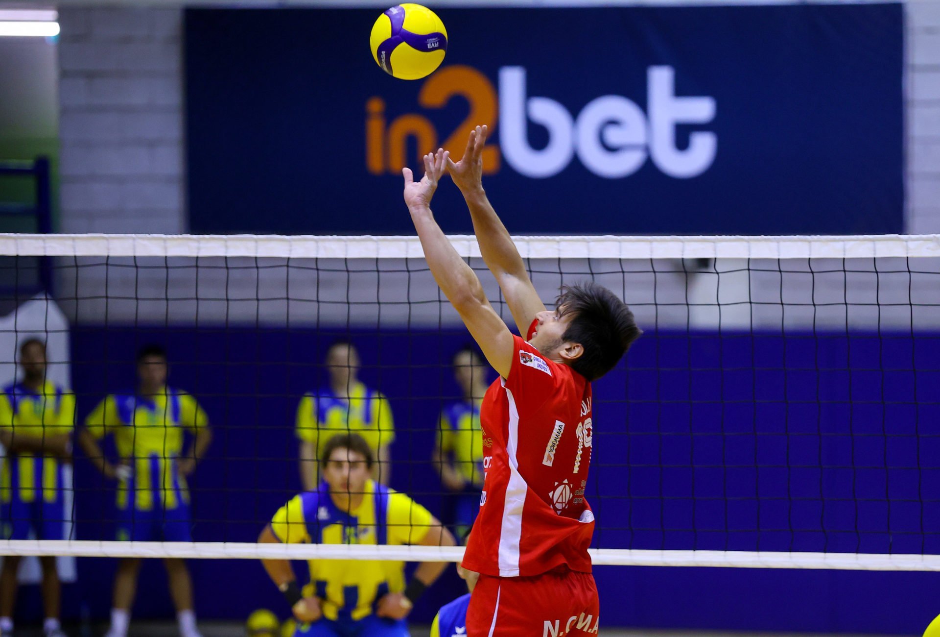Volley