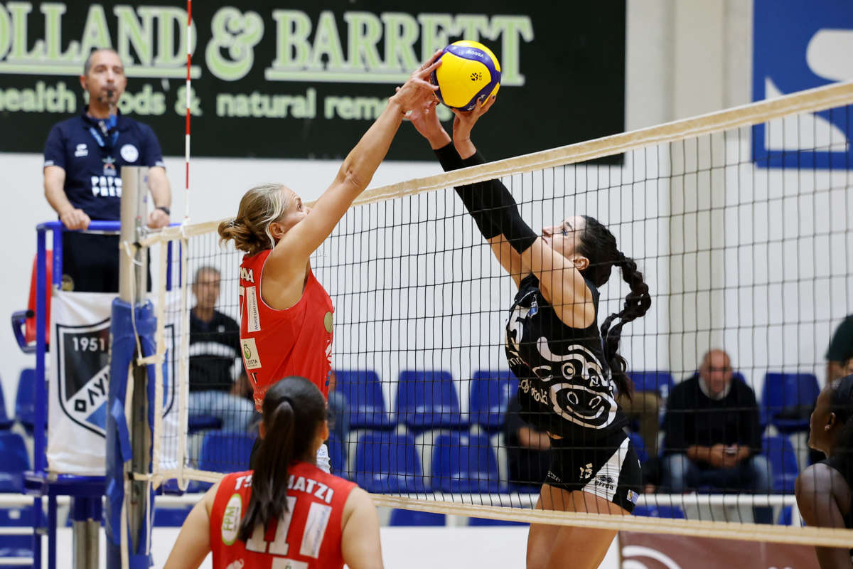 Volley Salamina