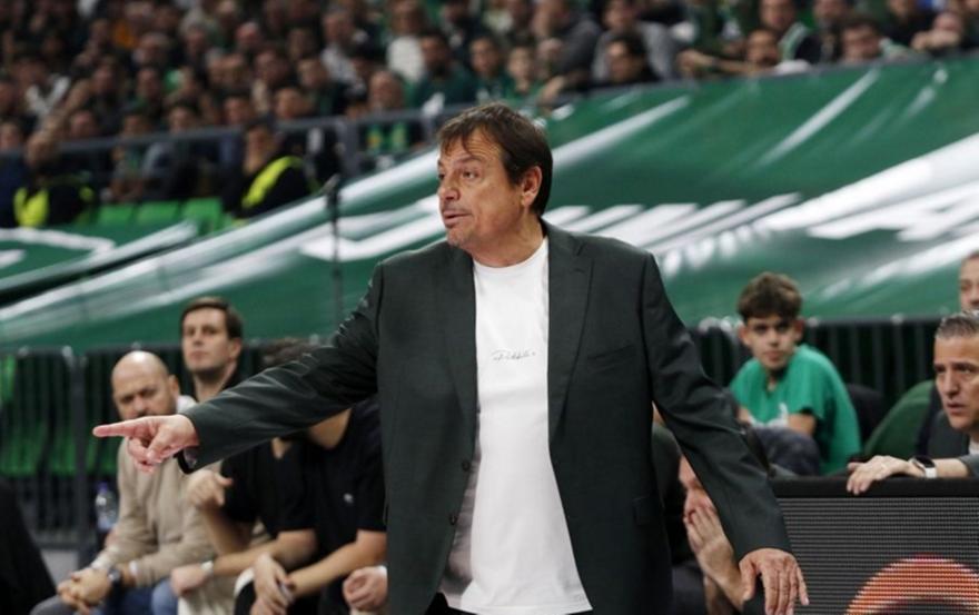 Ataman 154042