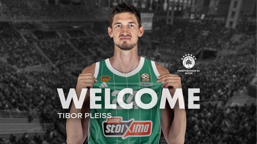 Pleiss 113437