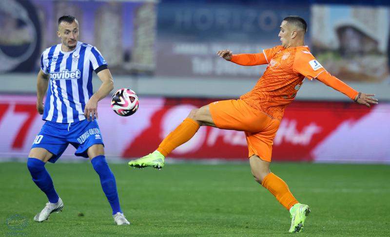 Anorthosis