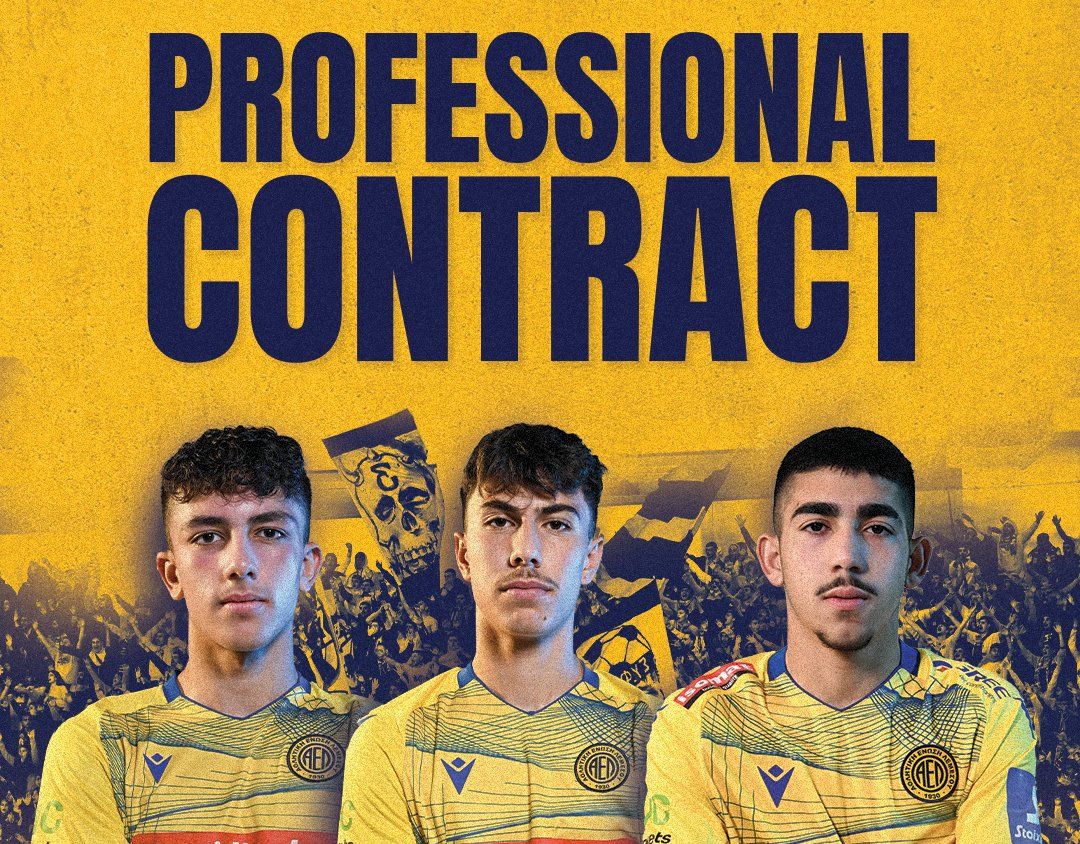 Ael Epaggelmatika