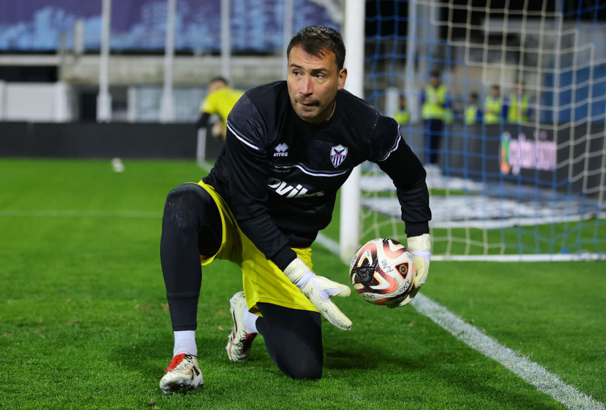 Zivkovic Anorthosi (2)