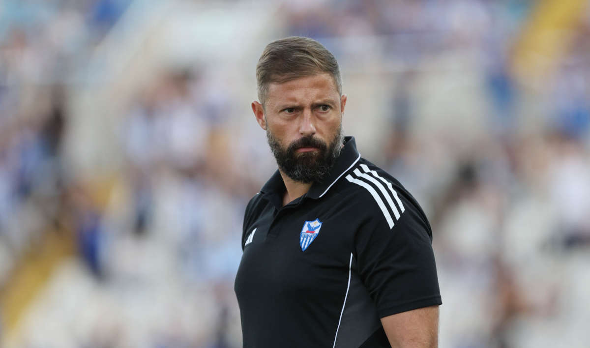 Gomez Anorthosi