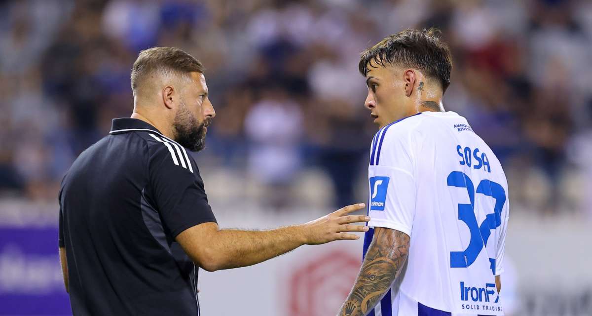 Gomez Sosa Anorthosi