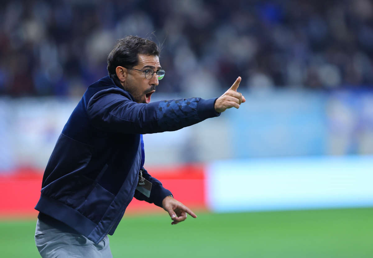 Losada Apollon