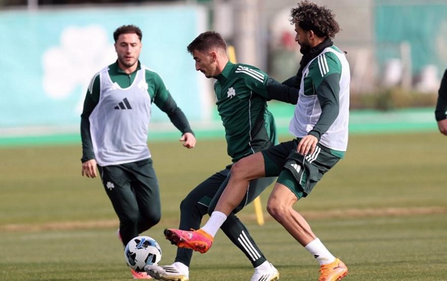 Paofc 131823