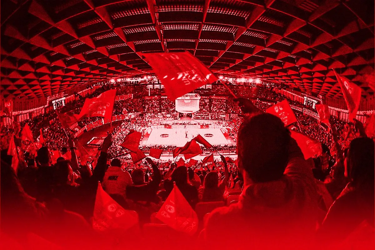Sef Red Site 2 1 1200x800