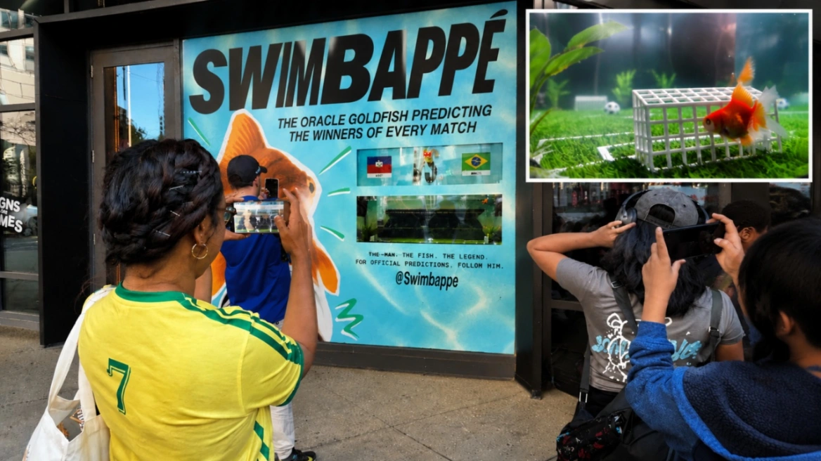 Swimbappe