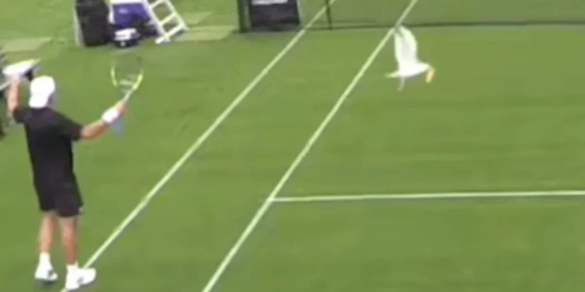 Tenis Glaros.jpg