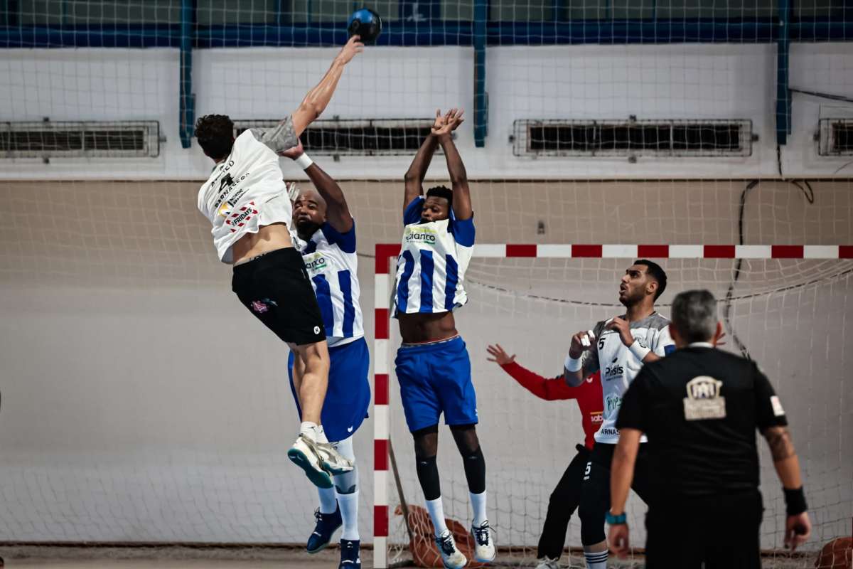 Anorthosisparnassos
