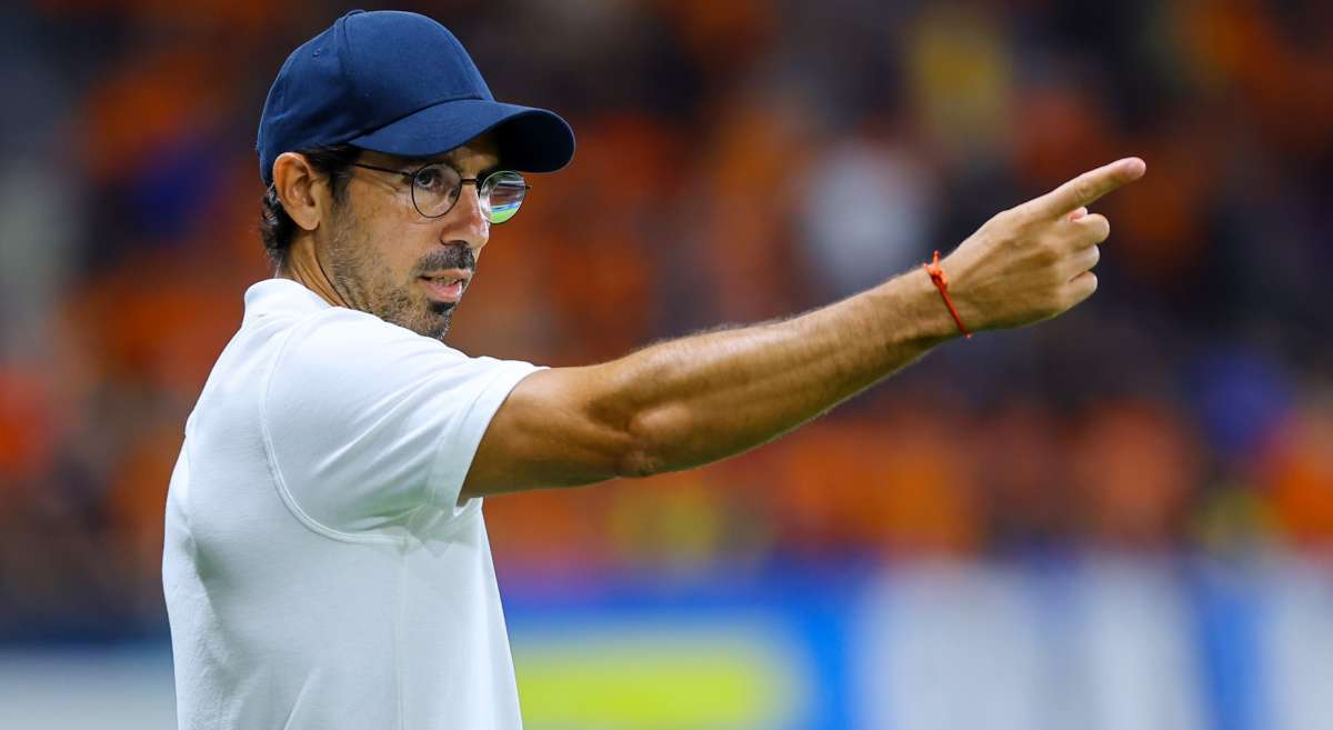 Losada Apollon