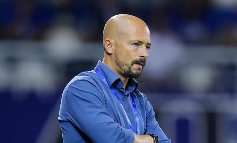 Maestro Anorthosi